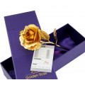 Золотая роза 25см в подарочном коробке и с сертификатом